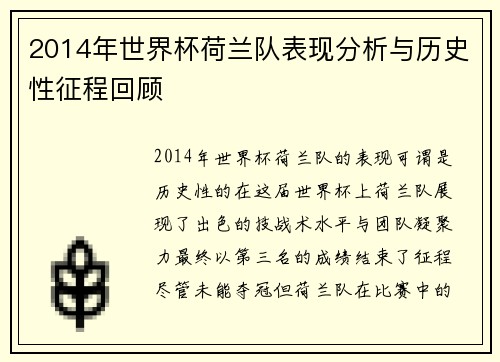 2014年世界杯荷兰队表现分析与历史性征程回顾